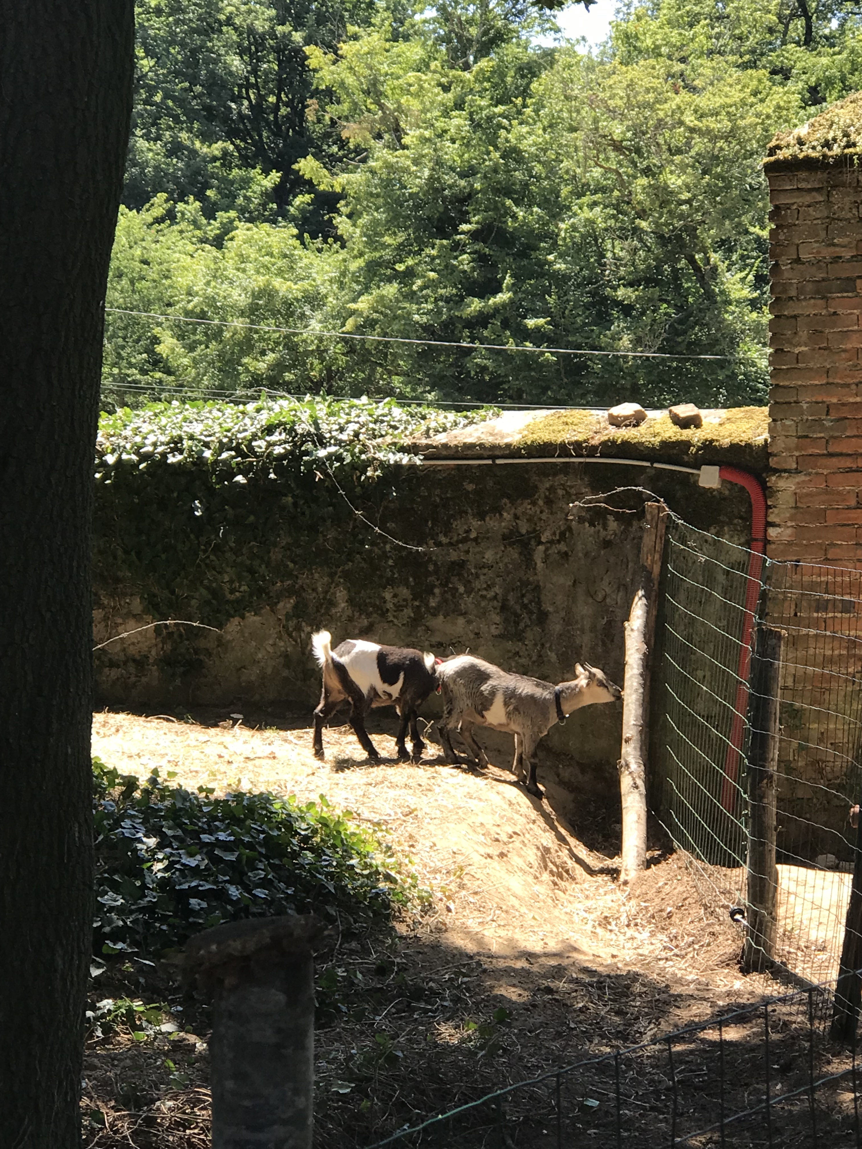 Photo n° 9 de l'avis de Iza.a fait le 06/10/2022 à 19:16