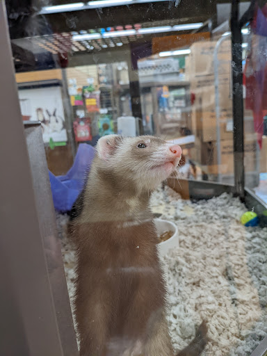 Pet Supply Store «Petco Animal Supplies», reviews and photos, 225 Maple Ave E, Vienna, VA 22180, USA