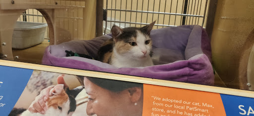 Pet Supply Store «PetSmart», reviews and photos, 104 TX-332, Lake Jackson, TX 77566, USA