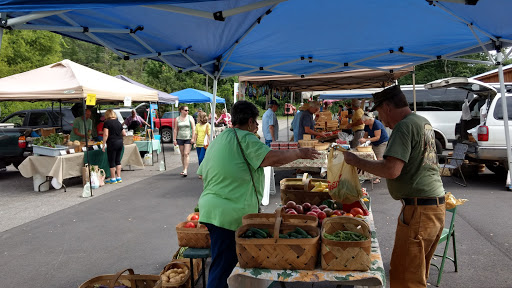 Arts Organization «HART Theatre», reviews and photos, 250 Pigeon St, Waynesville, NC 28786, USA