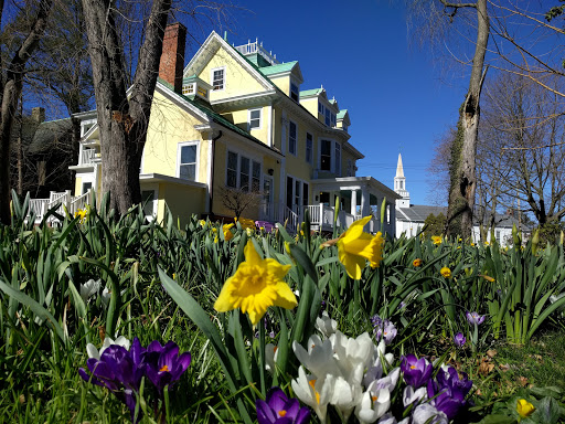 Colorblends House & Spring Garden