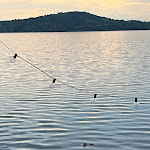 Photo n°3 de l'avis de Kath.a fait le 07/05/2023 à 19:51 sur le  La Palafitta à Viverone