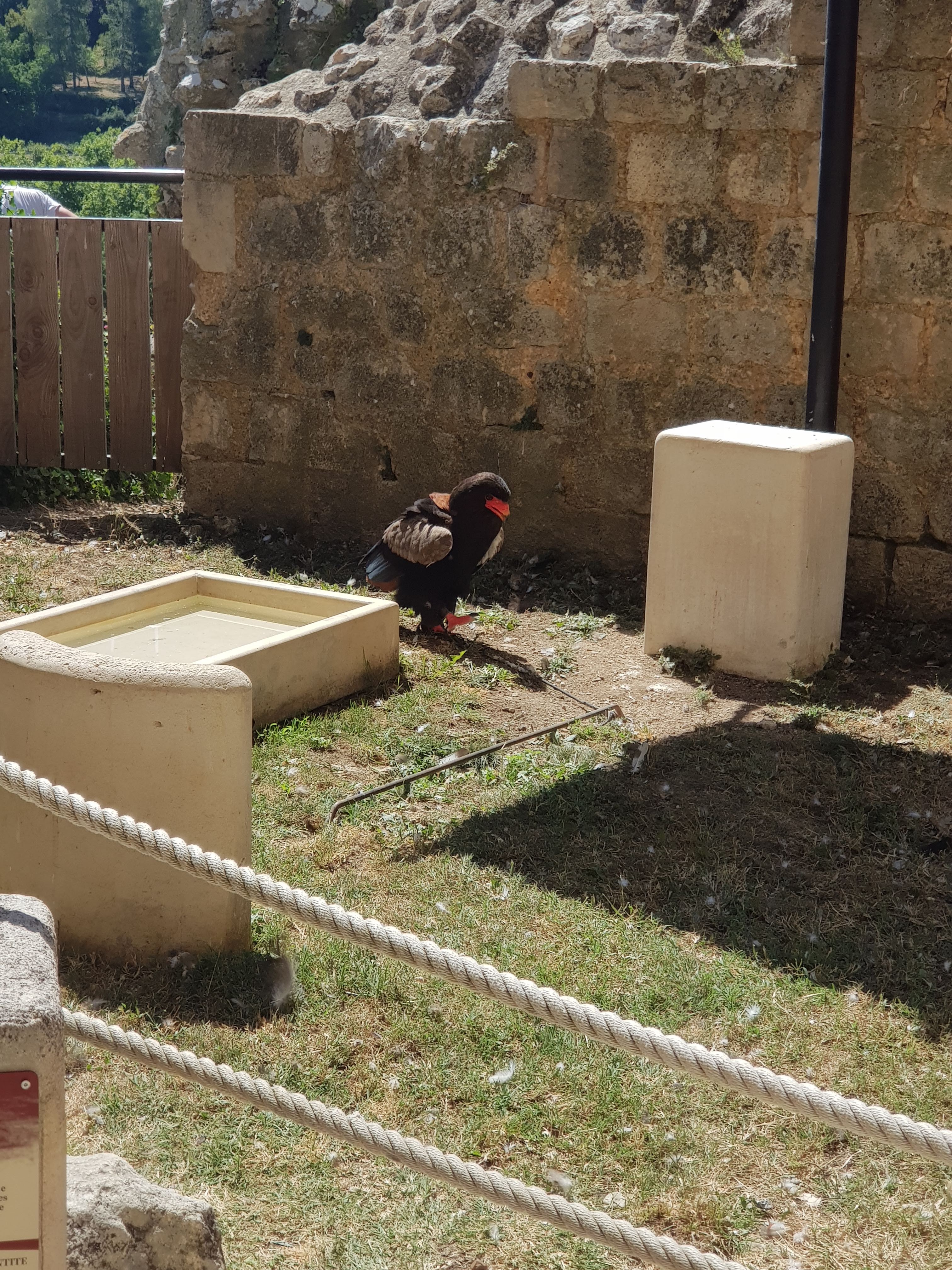 Photo n° 21 de l'avis de La.� fait le 10/08/2022 à 18:06
