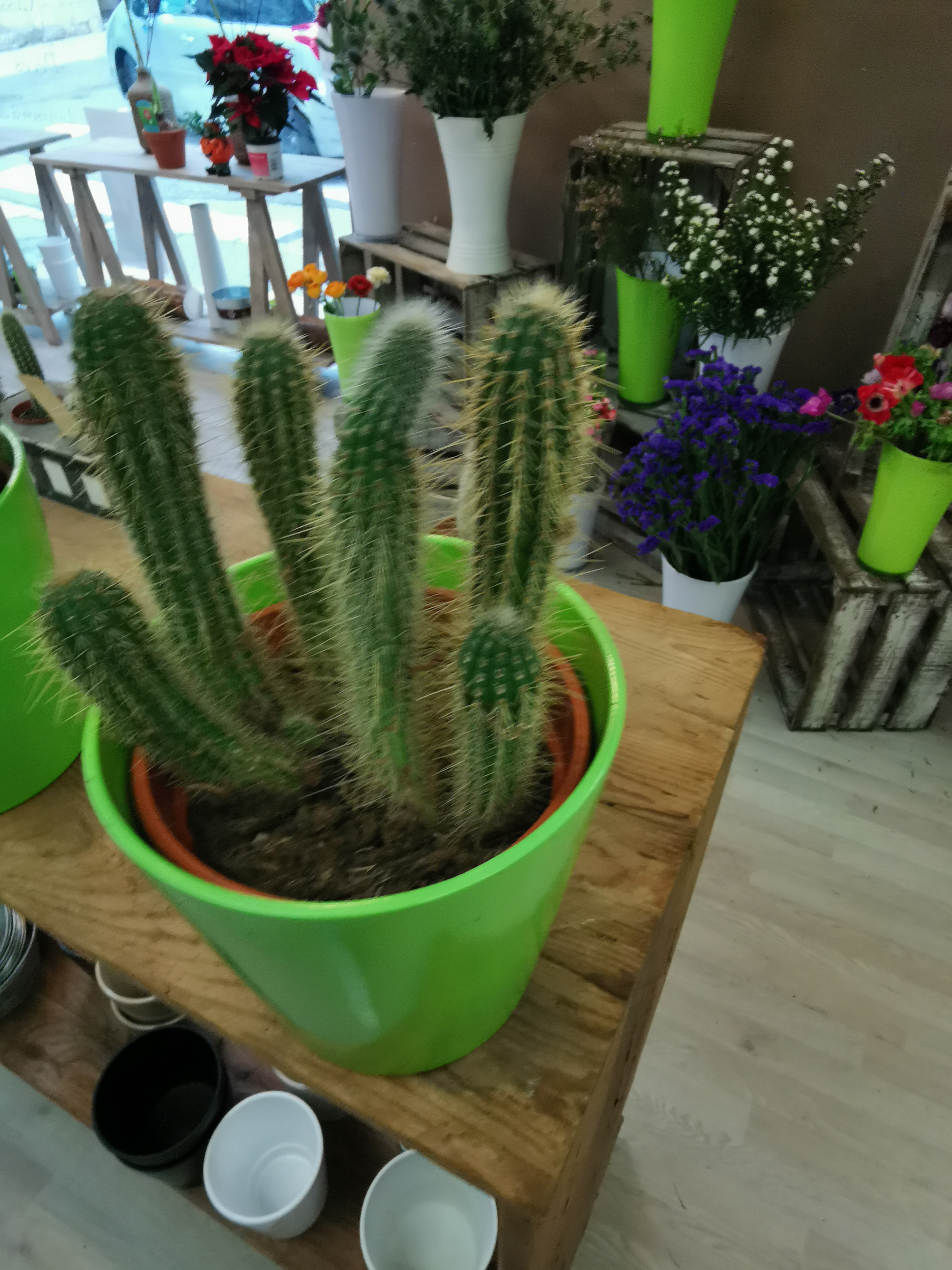Photo n° 5 de l'avis de GIGI.I fait le 10/11/2019 à 19:10