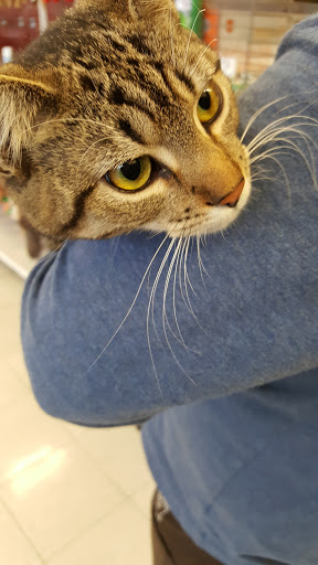 Pet Supply Store «Petco Animal Supplies», reviews and photos, 5453 N Bend Rd, Cincinnati, OH 45247, USA