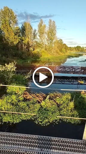 Park «Tualatin Hills Nature Park», reviews and photos, 15655 SW Millikan Way, Beaverton, OR 97006, USA