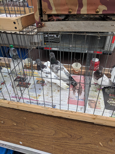 Pest Control Service «Moyer Indoor | Outdoor», reviews and photos, 113 E Reliance Rd, Souderton, PA 18964, USA