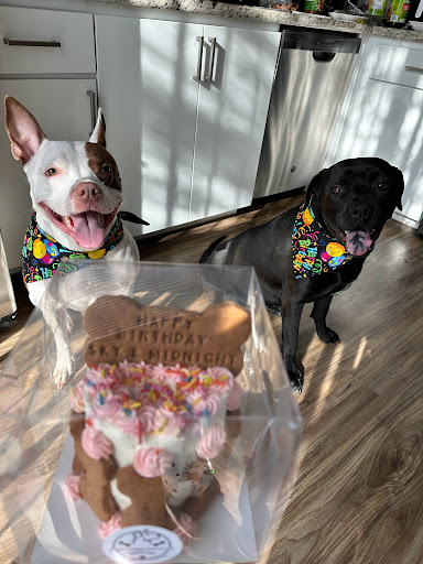 Donnie's Doggie Desserts LLC