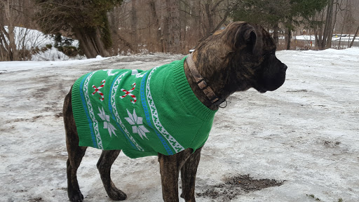 Pet Supply Store «Petco Animal Supplies», reviews and photos, 300 Hylan Dr, Rochester, NY 14623, USA