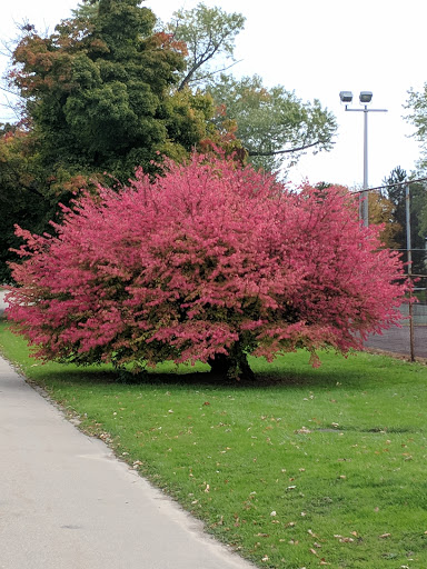 Park «Delaware Park», reviews and photos, Meadow Dr, Buffalo, NY 14214, USA