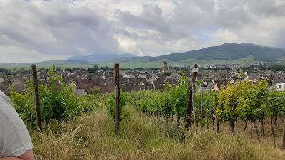 Stirn Fabien à Kaysersberg