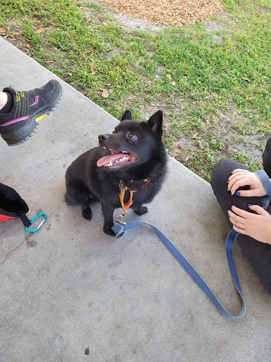 Park «Edgewater Park», reviews and photos, 51 Main St, Dunedin, FL 34698, USA