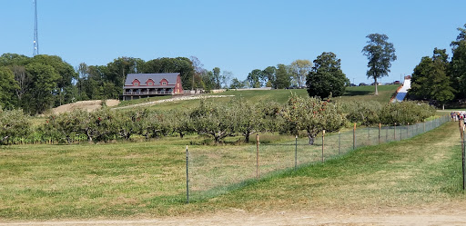 Nature Preserve «Princess Ledges Nature Preserve», reviews and photos, 4361 Spruce Ave, Brunswick, OH 44212, USA