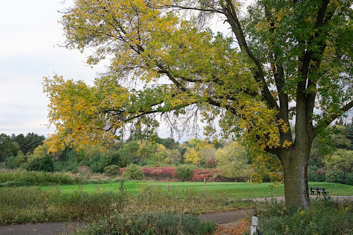 Public Golf Course «Gem Lake Hills Golf Course», reviews and photos, 4039 Scheuneman Rd, White Bear Lake, MN 55110, USA