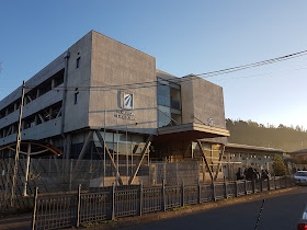 Colegio Creación de Concepción