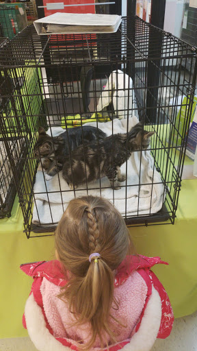 Pet Supply Store «PetSmart», reviews and photos, 12142 Jefferson Ave, Newport News, VA 23602, USA