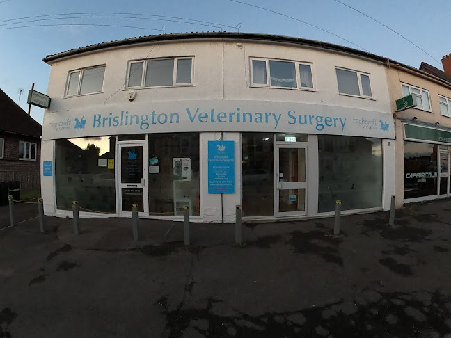 Brislington Veterinary Surgery - Bristol