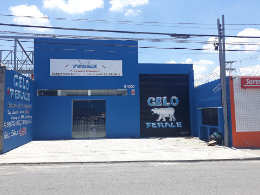 Venda de Gelo de Coco em Cubo Campo Grande - Venda de Gelo de Coco em Cubo  - Maqgel Distribuidora de Gelo