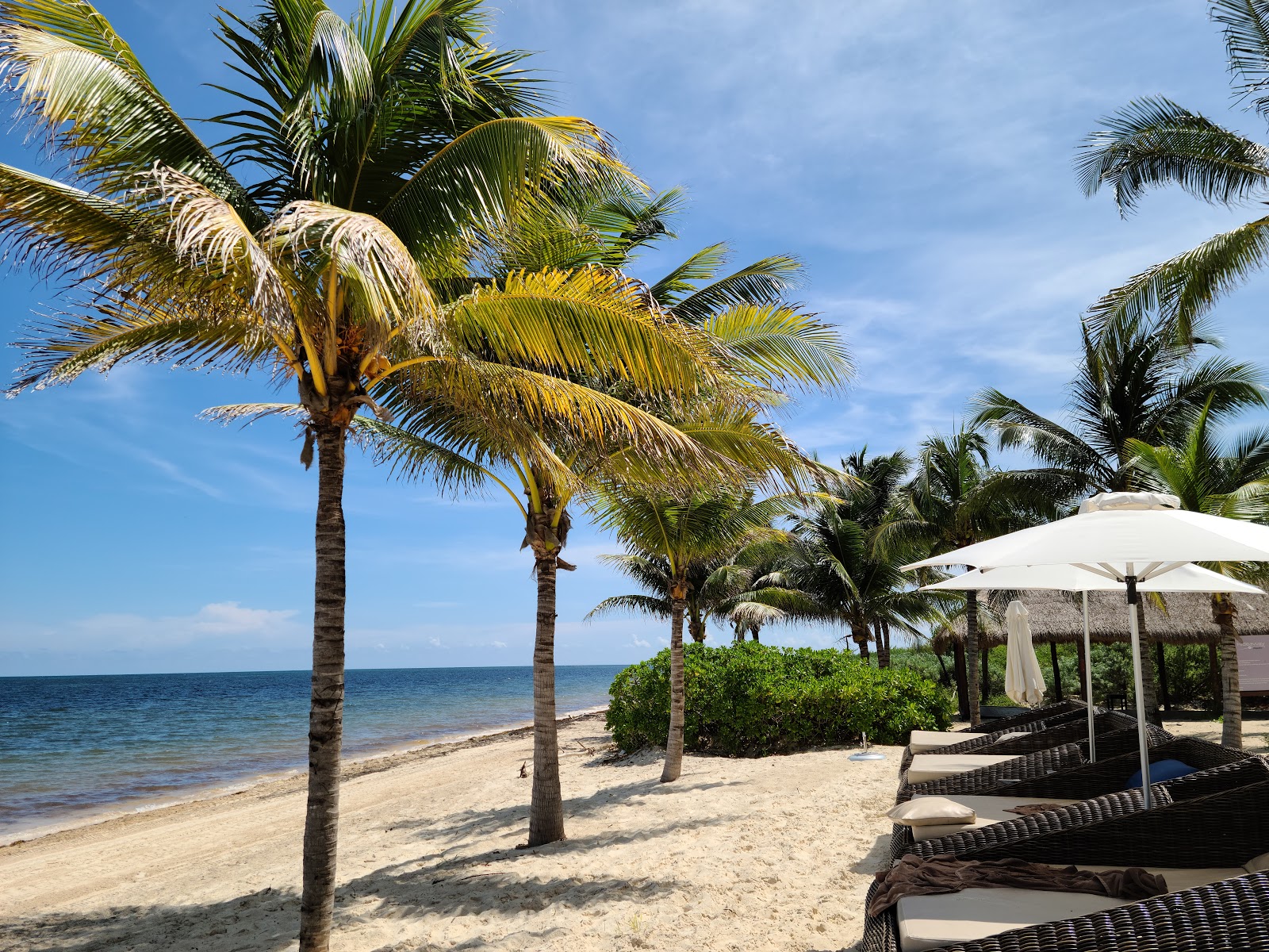 Photo of Royalton Riviera Cancun beach resort area