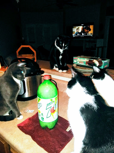 Hardware Store «Ace Hardware & Rental - Scottsdale», reviews and photos, 10300 N Scottsdale Rd, Scottsdale, AZ 85253, USA