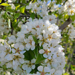 Photo n°6 de l'avis de Chris. fait le 09/04/2024 à 19:33 sur le  Bio Hotel Panorama à Mals