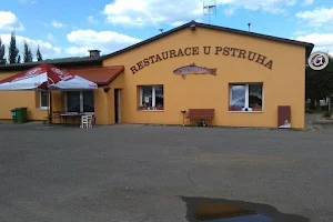 U pstruha image