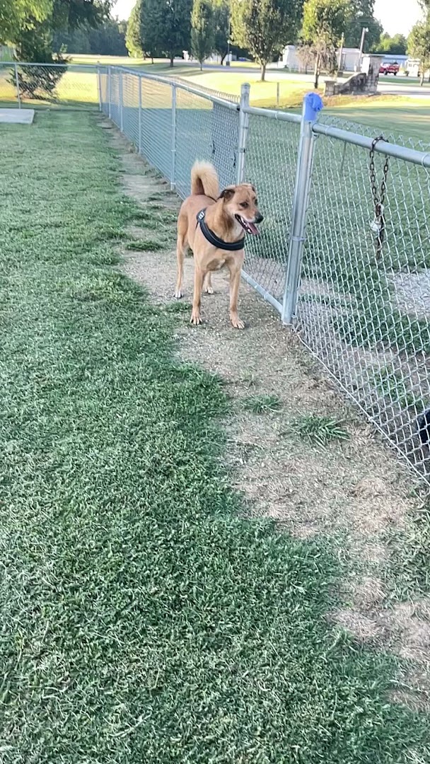 Auburn City Dog Park