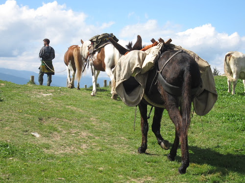 Caravanigó à Valmanya