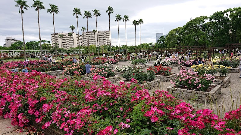 大阪市立長居植物園 大阪府大阪市東住吉区長居公園 植物園 グルコミ