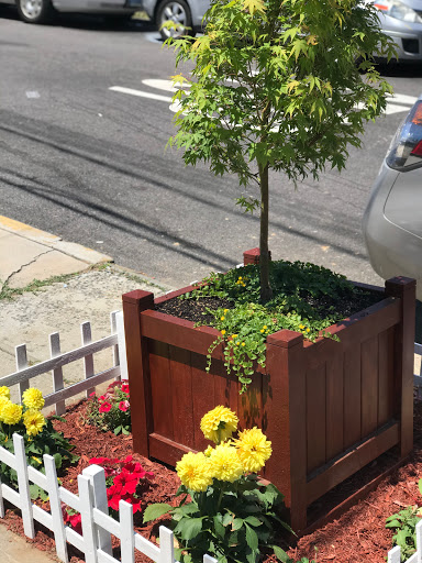 Vitamin & Supplements Store «Guru Health Foods», reviews and photos, 8602 Parsons Blvd, Jamaica, NY 11432, USA