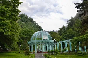 Borjomi Central Park image