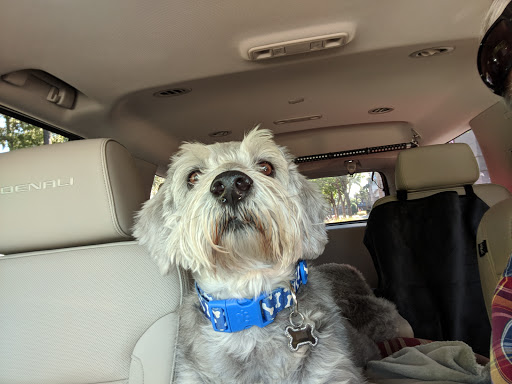 Pet Supply Store «PetSmart», reviews and photos, 30 Malphrus Rd, Bluffton, SC 29910, USA