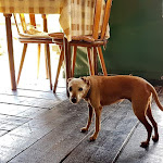 Photo n°5 de l'avis de Eduard.o fait le 22/09/2020 à 10:33 sur le  Baita al Taj à Resia