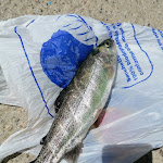 Photo n°2 de l'avis de Giuseppe.r fait le 12/07/2020 à 15:41 sur le  Lago Capanna à Cusago