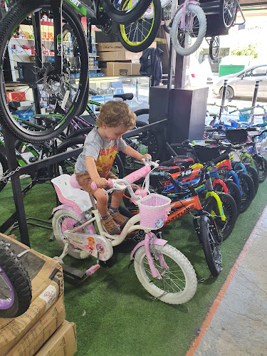 Padro Bikes - Tienda de bicicletas