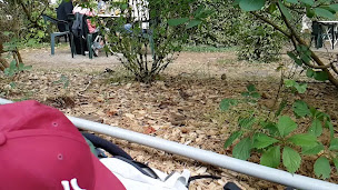 Photo n°48 de restaurant Le Pic Vert à Doucier ()