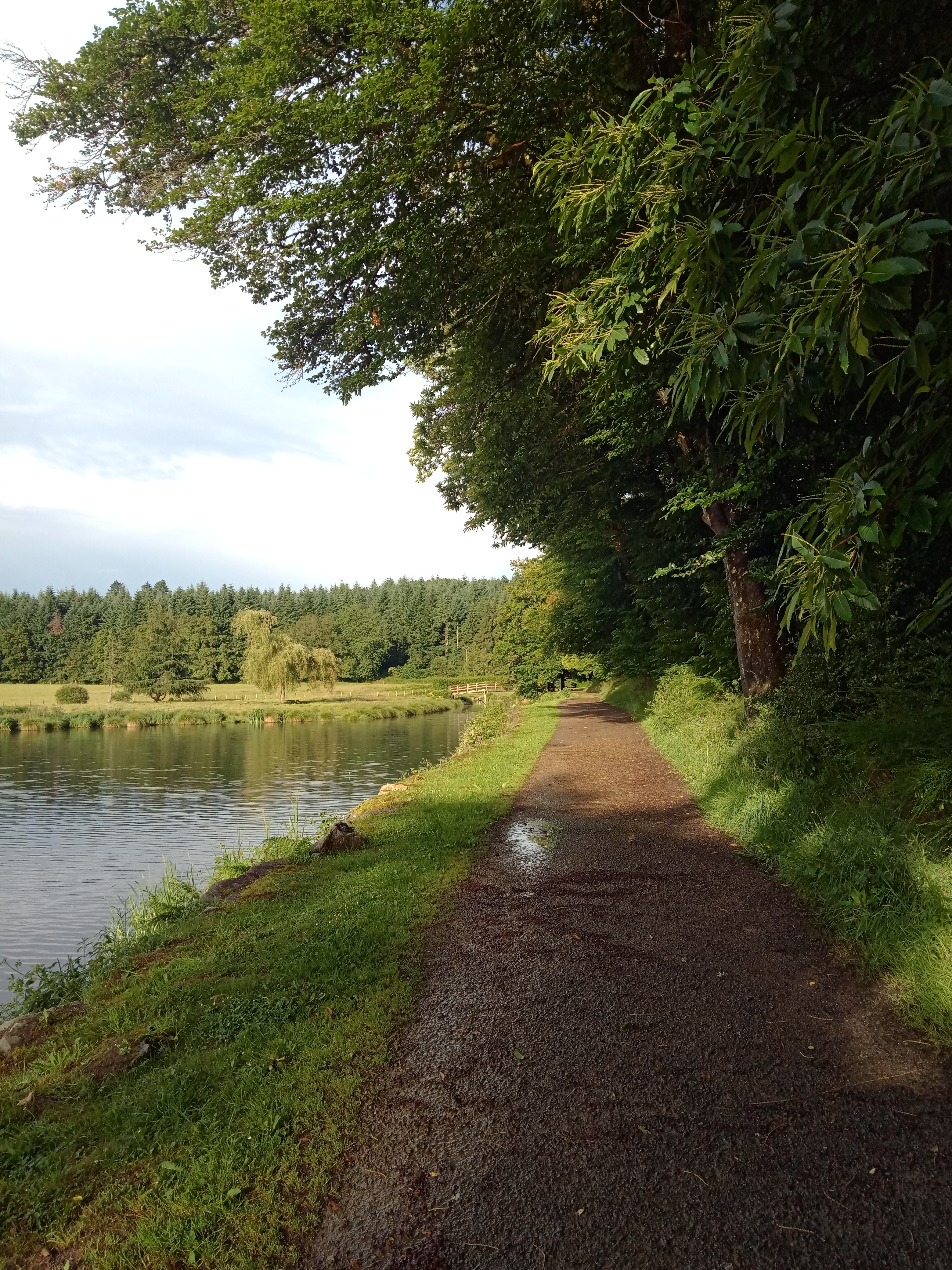 Photo n° 9 de l'avis de Route.a fait le 10/07/2021 à 19:50