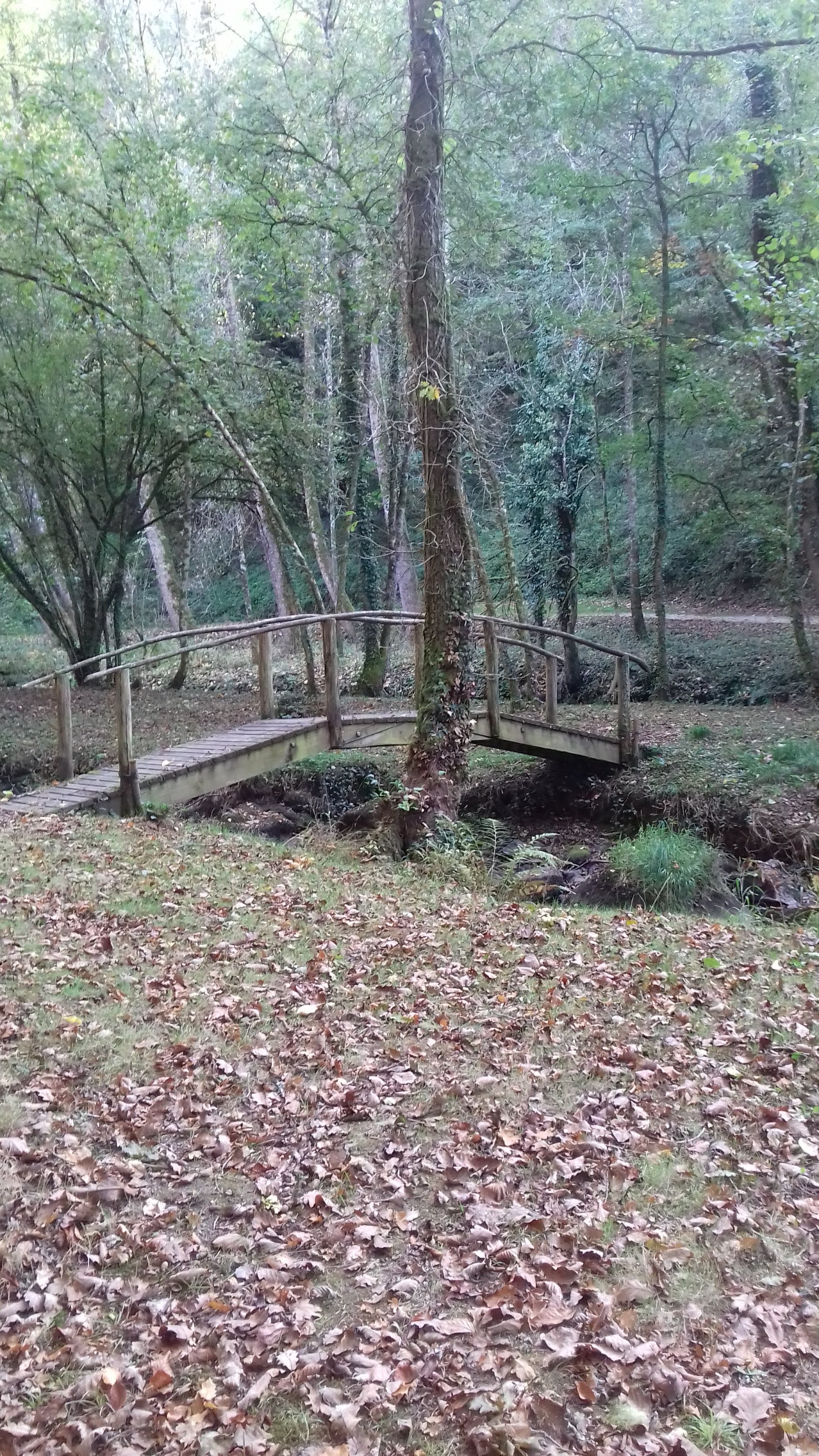Photo n° 3 de l'avis de Elise.a fait le 02/11/2018 à 07:17