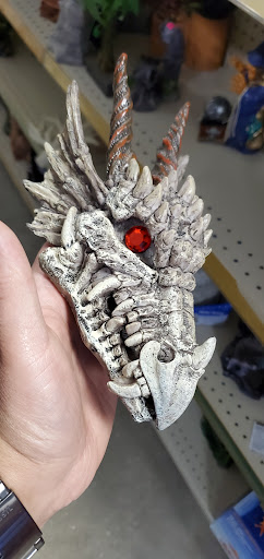 Pet Store «Pet World - Auburndale», reviews and photos, 3637 Havendale Blvd, Auburndale, FL 33823, USA