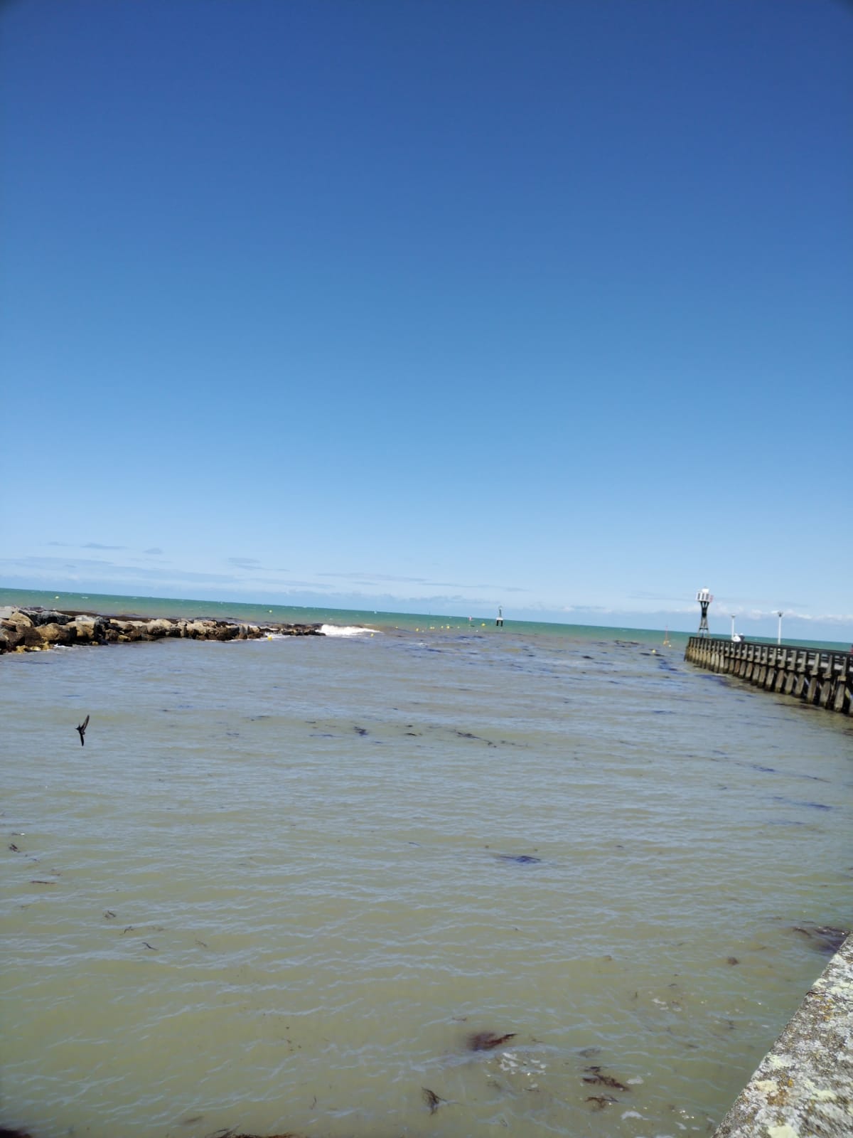 Photo n° 1 de l'avis de A.d fait le 16/08/2023 à 16:38