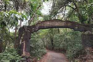 Janaki Forest image