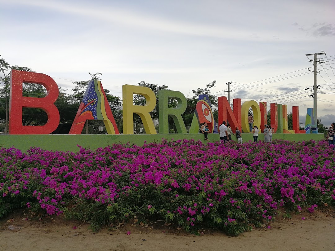 Dos Hemisferios Piensan Mejor Que Uno