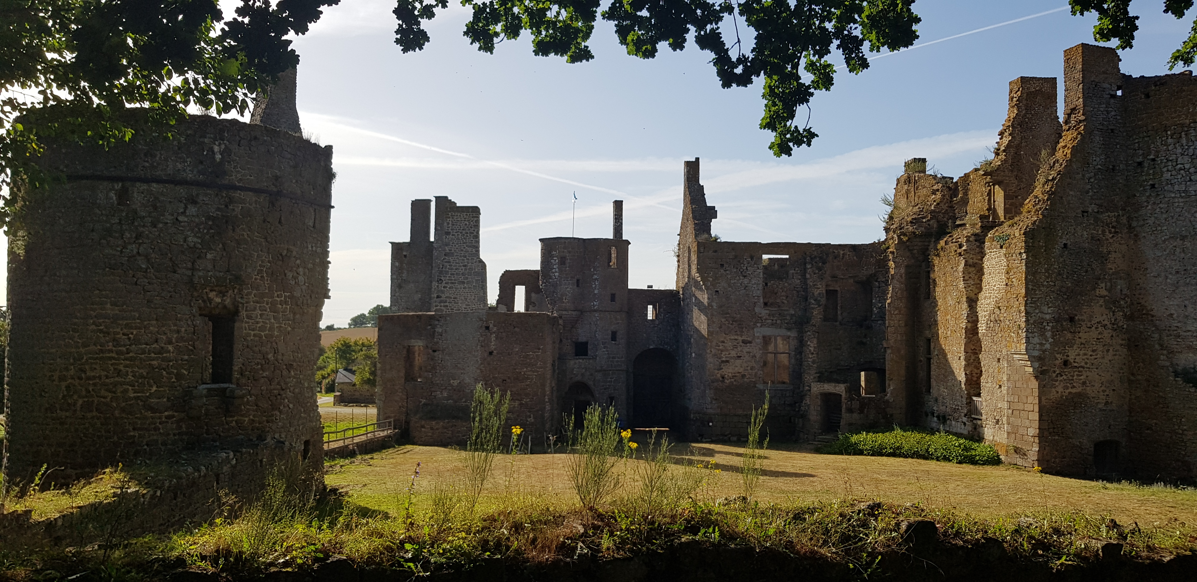 Photo n° 2 de l'avis de Cedric.a fait le 25/07/2020 à 12:29
