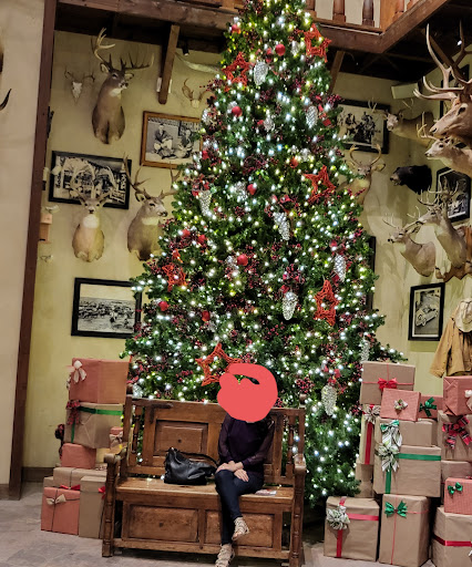 Sporting Goods Store «Bass Pro Shops», reviews and photos, 101 Bass Pro Drive, Harlingen, TX 78552, USA