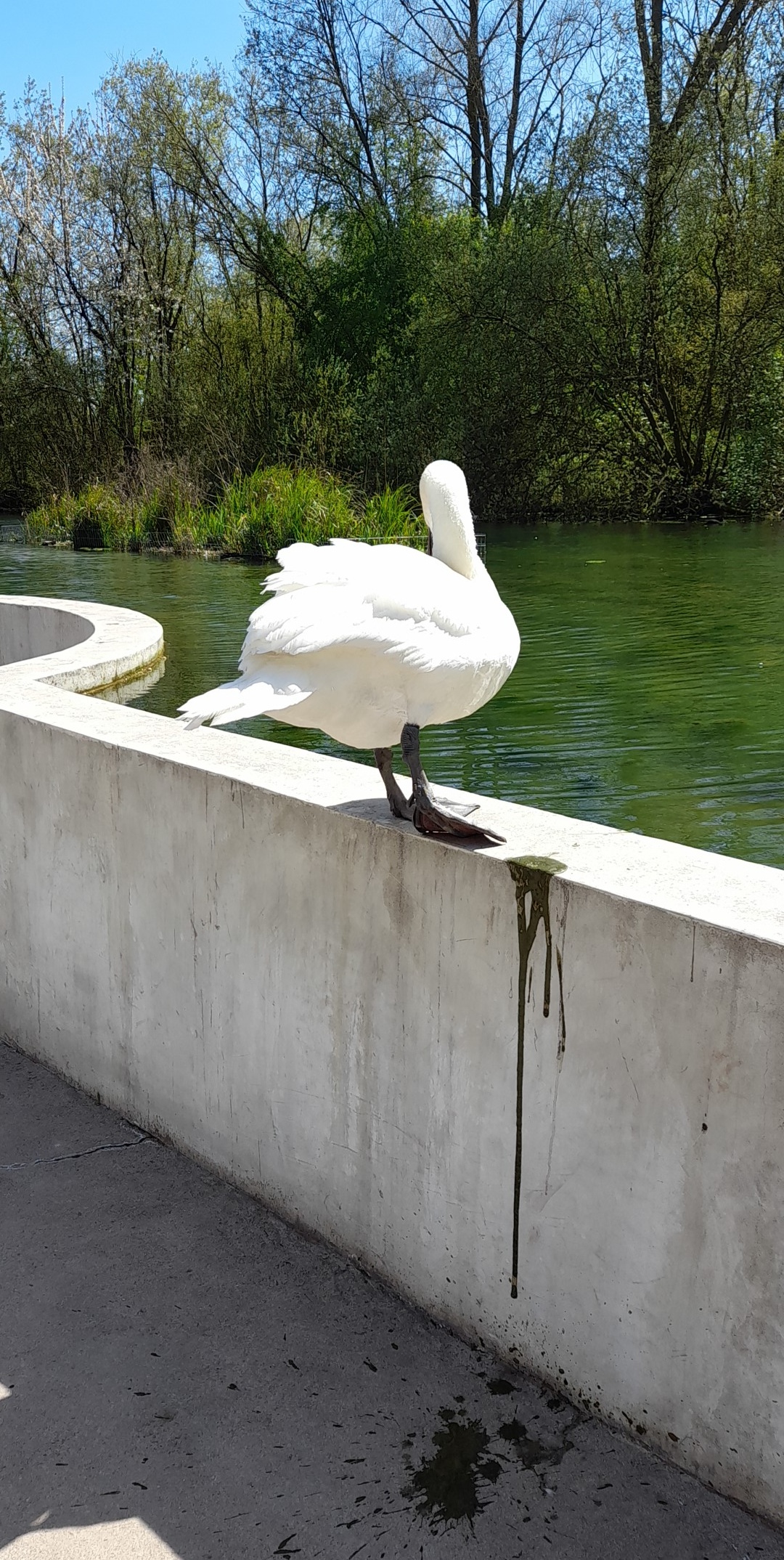 Photo n° 1 de l'avis de Betty.o fait le 26/04/2021 à 12:44