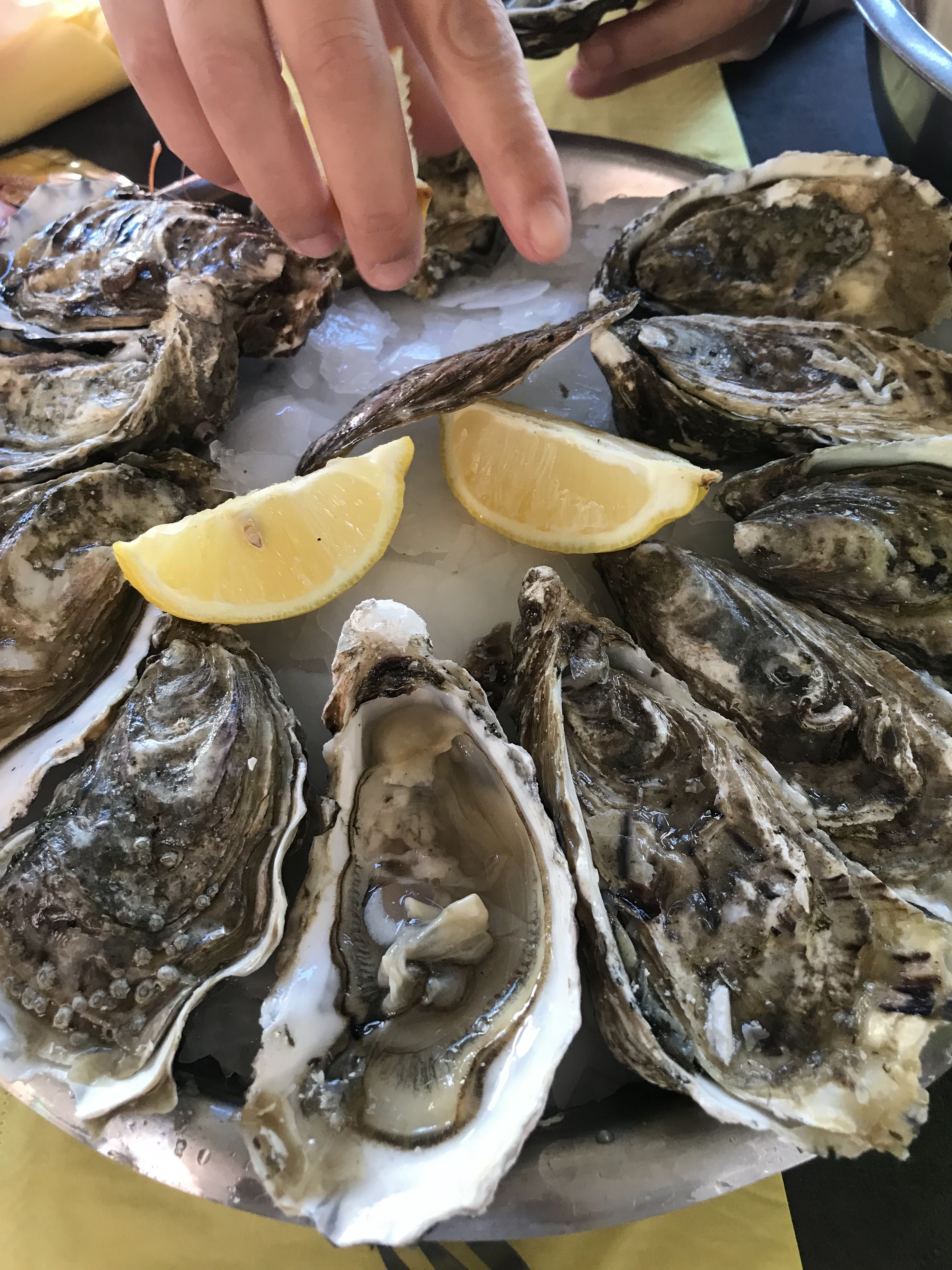 Photo n° 5 de l'avis de Myriam.l fait le 02/04/2018 à 14:59