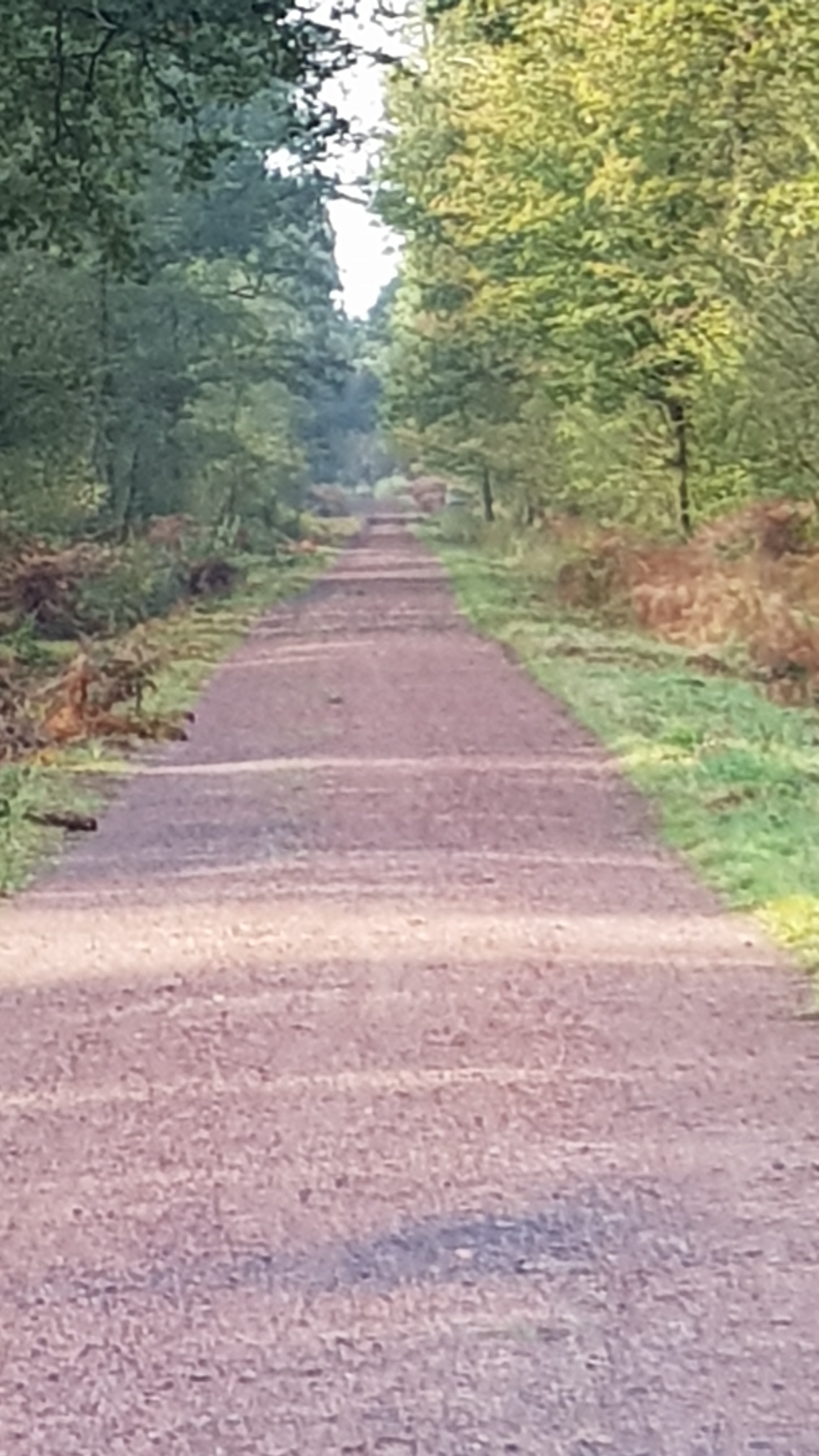 Photo n° 1 de l'avis de Halipre.a fait le 19/10/2018 à 17:05