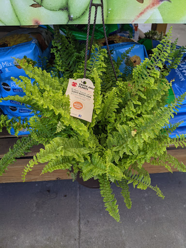 Pet Supply Store «Petco Animal Supplies», reviews and photos, 30697 US Hwy 19 N, Palm Harbor, FL 34684, USA