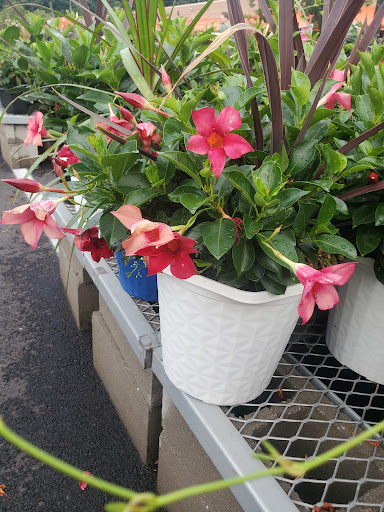 Home Improvement Store «The Home Depot», reviews and photos, 75-09 Woodhaven Blvd, Glendale, NY 11385, USA