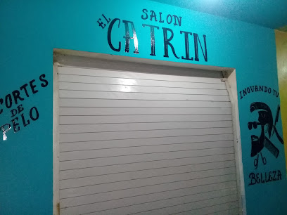 Salon 'El CATRIN' Chinampa de Gorostiza